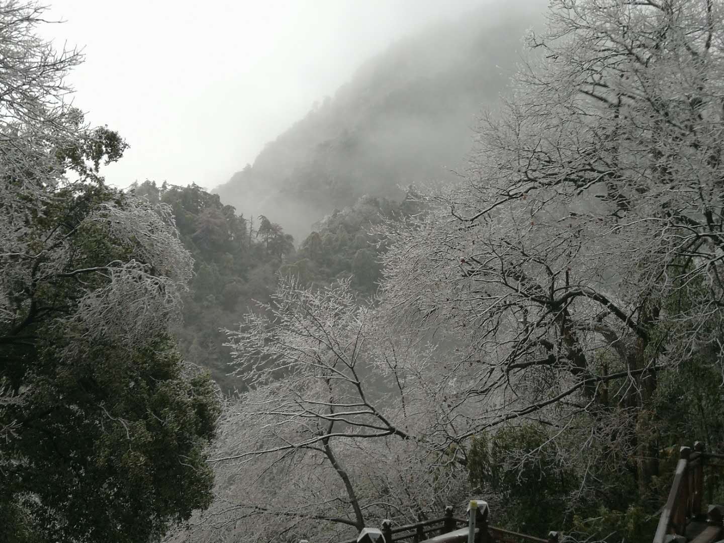 云霧.jpg