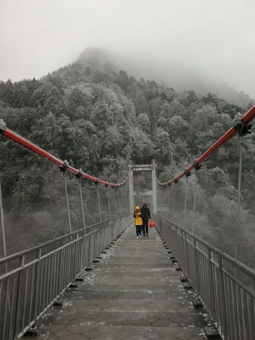 縣索橋.jpg